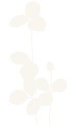 Immagine di una pianta stilizzata con foglie e fiori, simbolo di crescita e innovazione industriale.