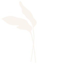 Logo e grafica aziendale di Tecnofluid.